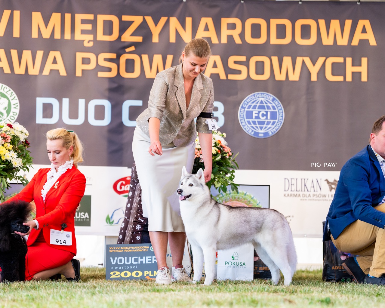 Фібі на інтернаціональній виставці в Польщі